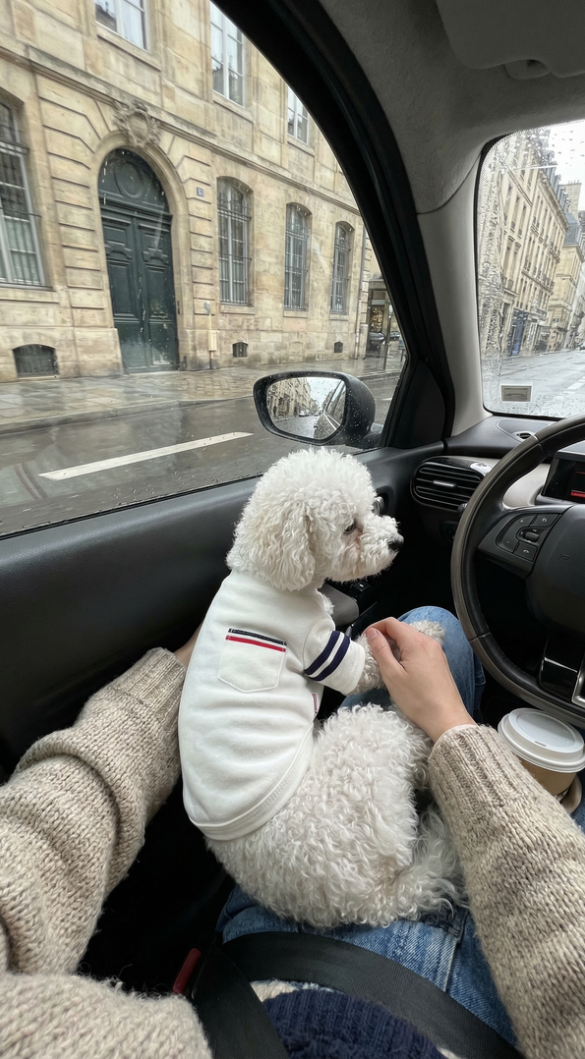 Георги Христов